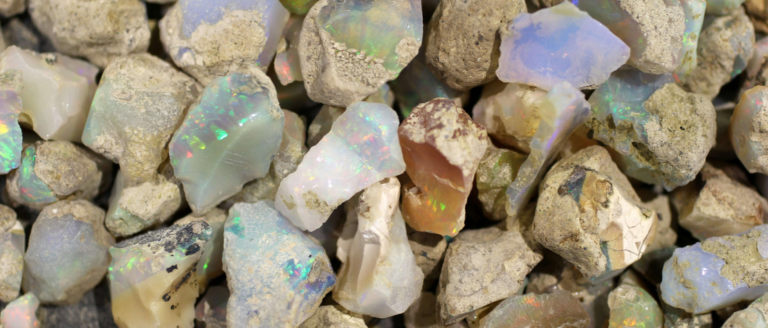 Qu'est-ce qu'une entreprise opale ?