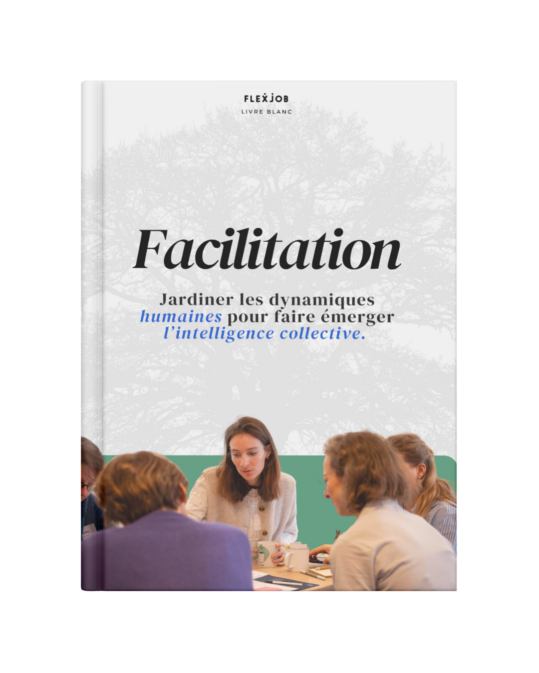 Tout savoir sur le métier de facilitateur et ses outils pour animer des ateliers.