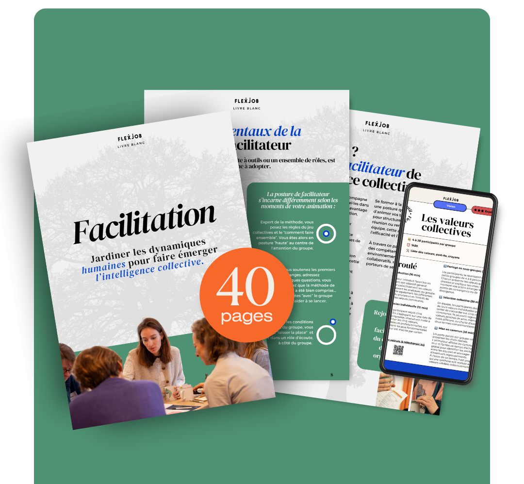 livre-blanc-facilitation-et-intelligence-collective Devenir facilitateur