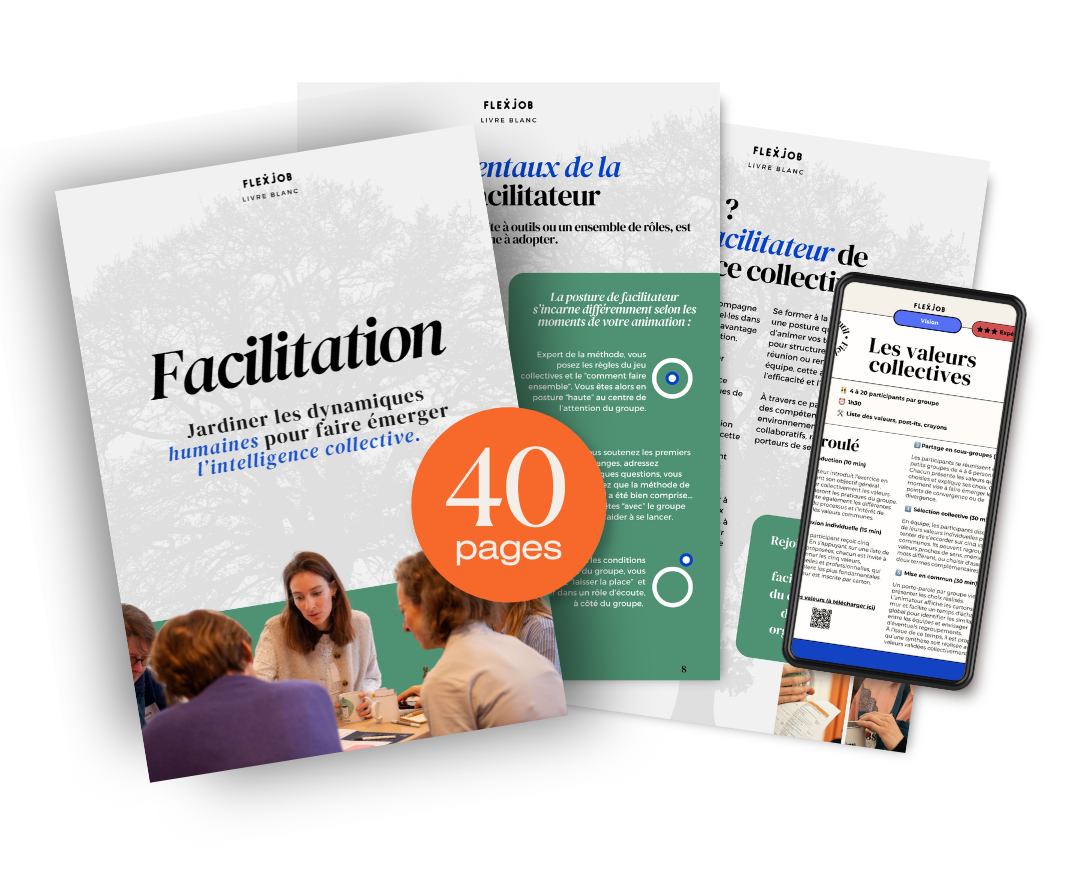 Devenir facilitateur